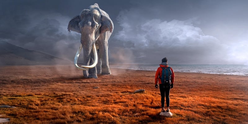 Mythical Animals